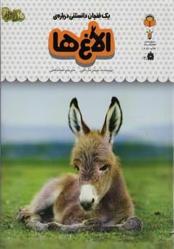 یک فنجان دانستنی درباره الاغ ها