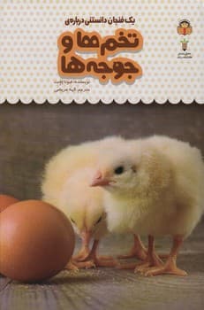 یک فنجان دانستنی درباره تخم ها و جوجه ها