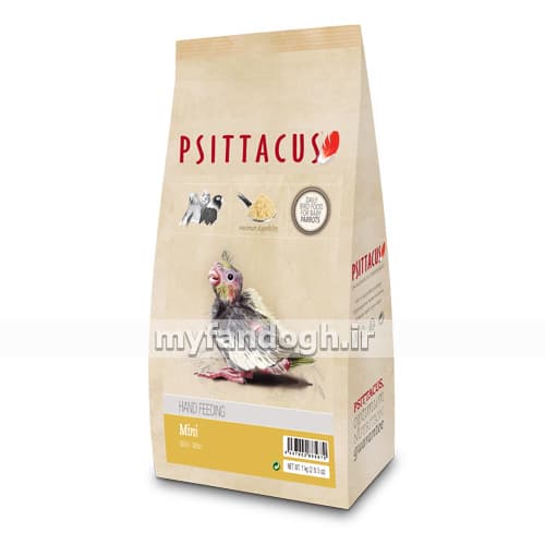 سرلاک مینی سیتاکوس طوطی سانان psittacus mini hand feeding