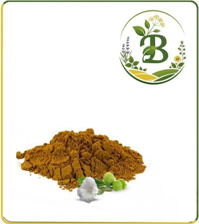 عصاره تاتوره خشک (پودری)