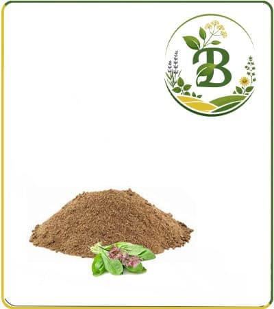 عصاره ترشک خشک (پودری)