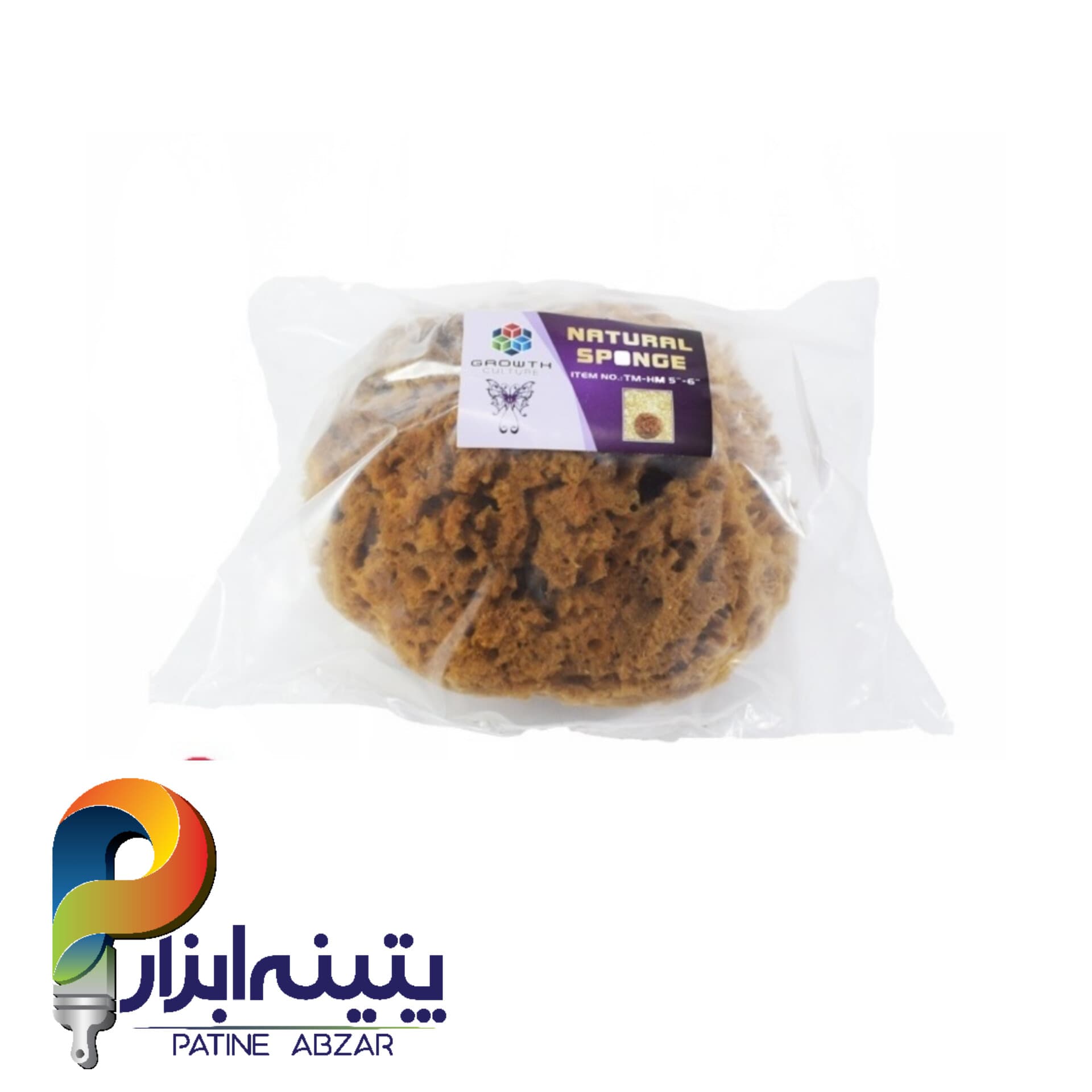 اسفنج دریایی طبیعی Gsb کد Tm-hm5