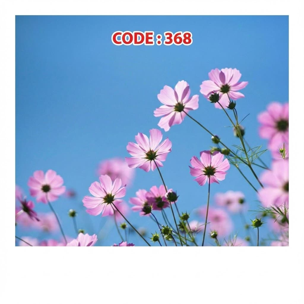 آسمان مجازی کد 368 — تصویر ۲