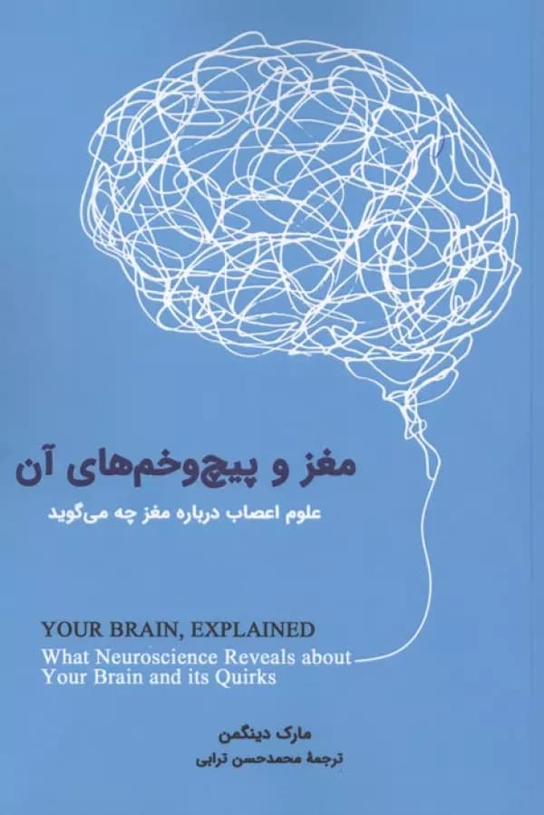 مغز و پیچ و خم های آن (علوم اعصاب درباره مغز چه می گوید) 1402