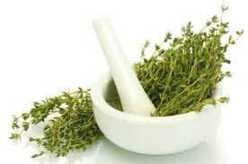 آویشن کوهی نگین طبیعت