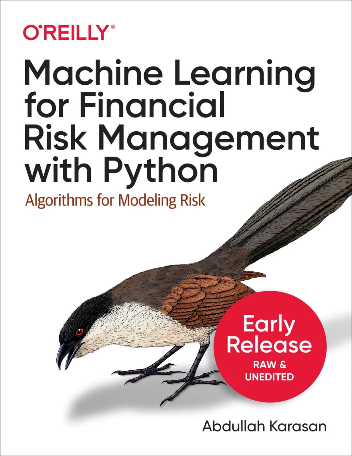 کتاب Machine Learning for Financial Risk Management (یادگیری ماشین برای مدیریت ریسک مالی) نسخه انگلیسی PDF | عبدالله کاراسان — تصویر ۲