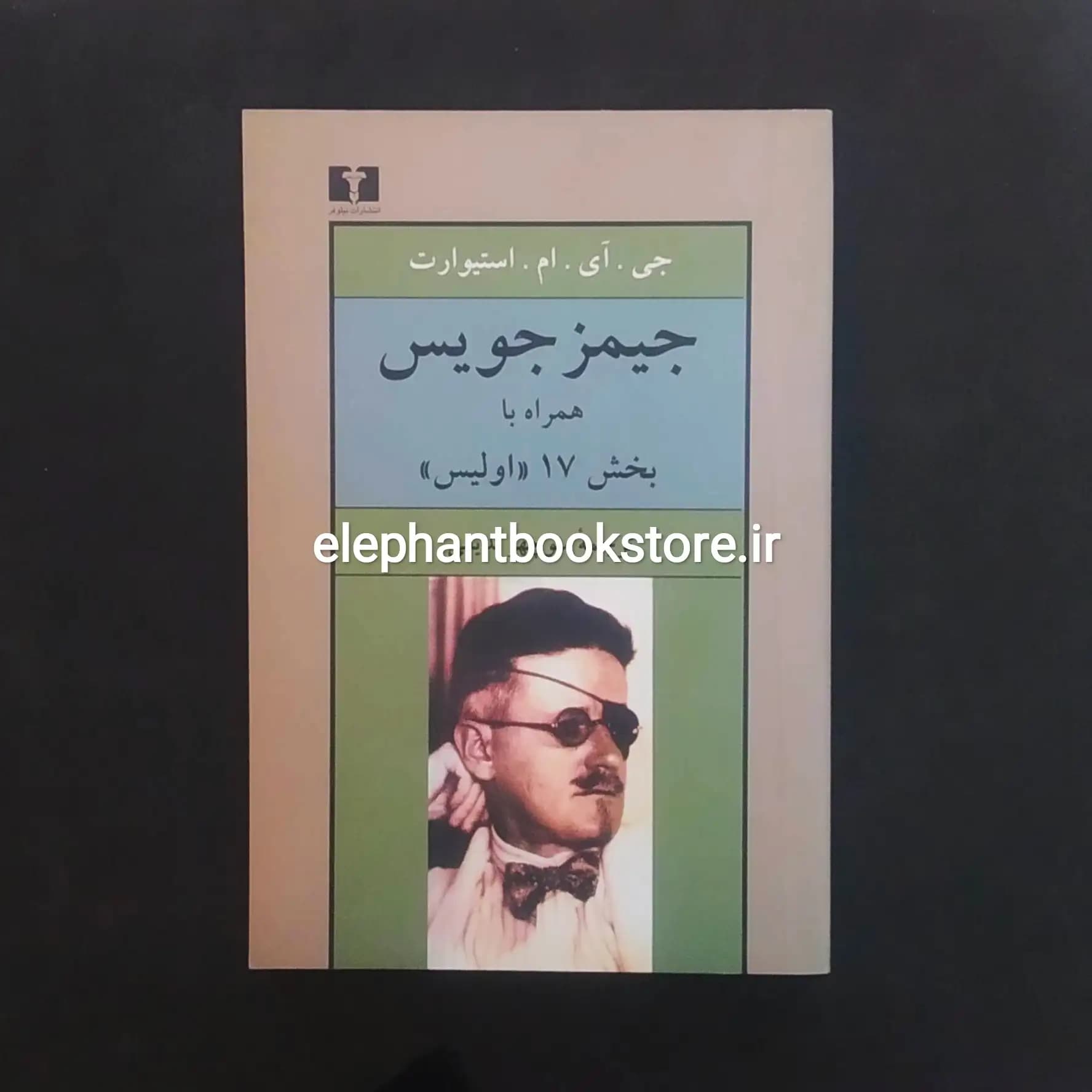 کتاب جیمز جویس همراه با بخش 17 اولیس ترجمه منوچهر بدیعی