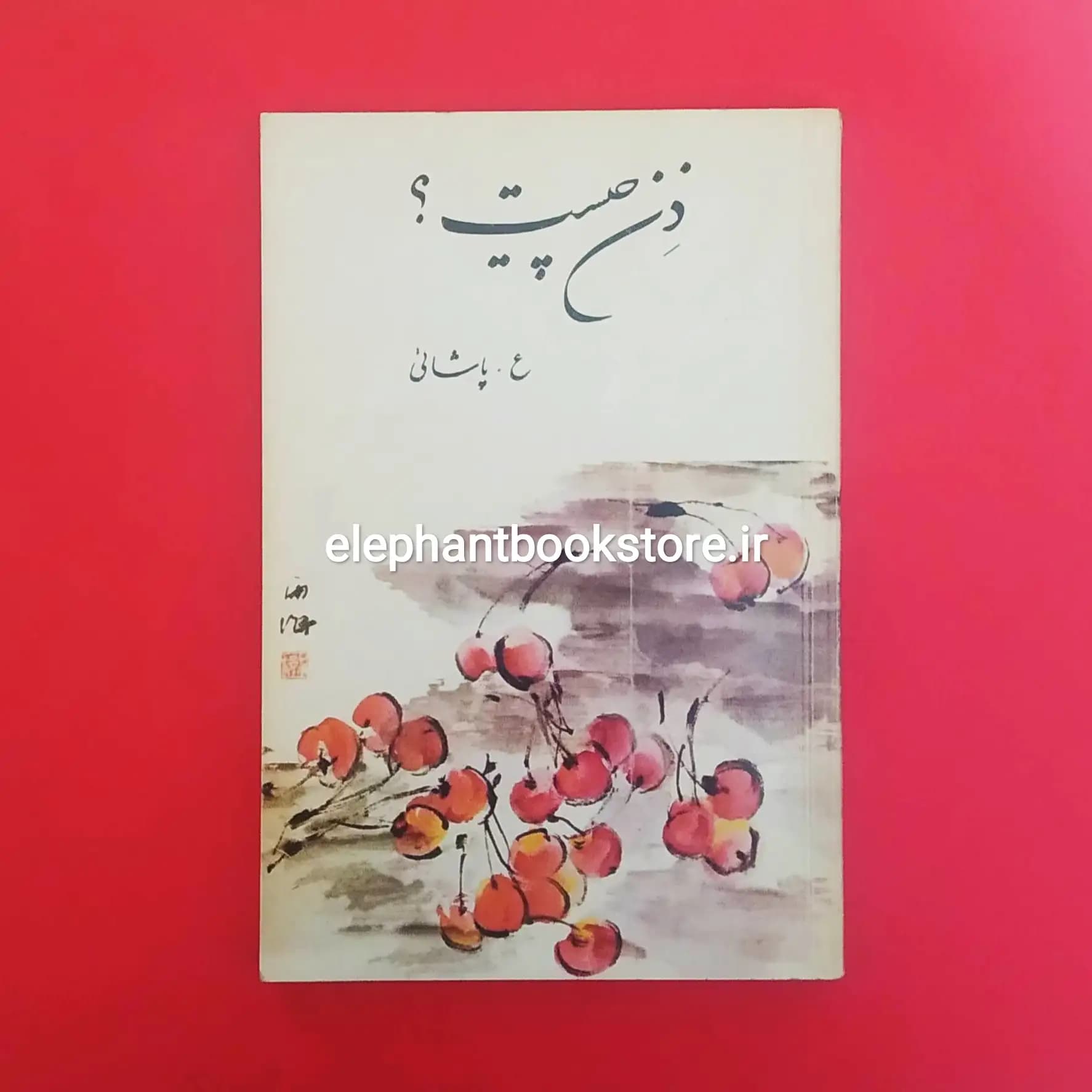 کتاب ذن چیست اثر ع. پاشایی