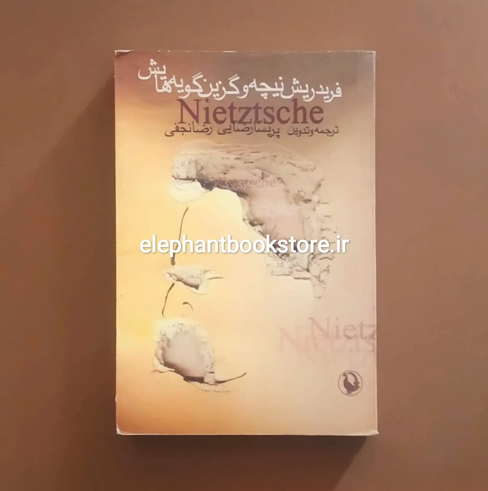 کتاب فریدریش نیچه و گزین گویه هایش (انتشارات مروارید)