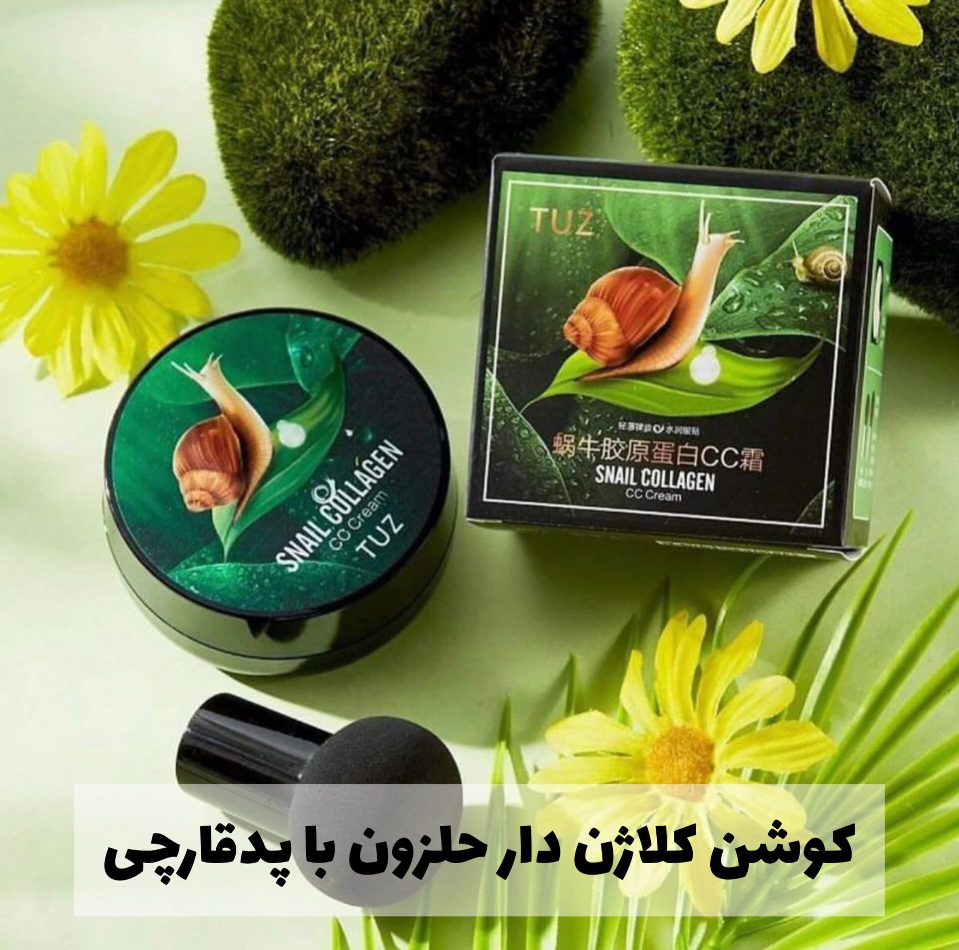 کوشن کلاژن دار حلزون با پدقارچی TUZ