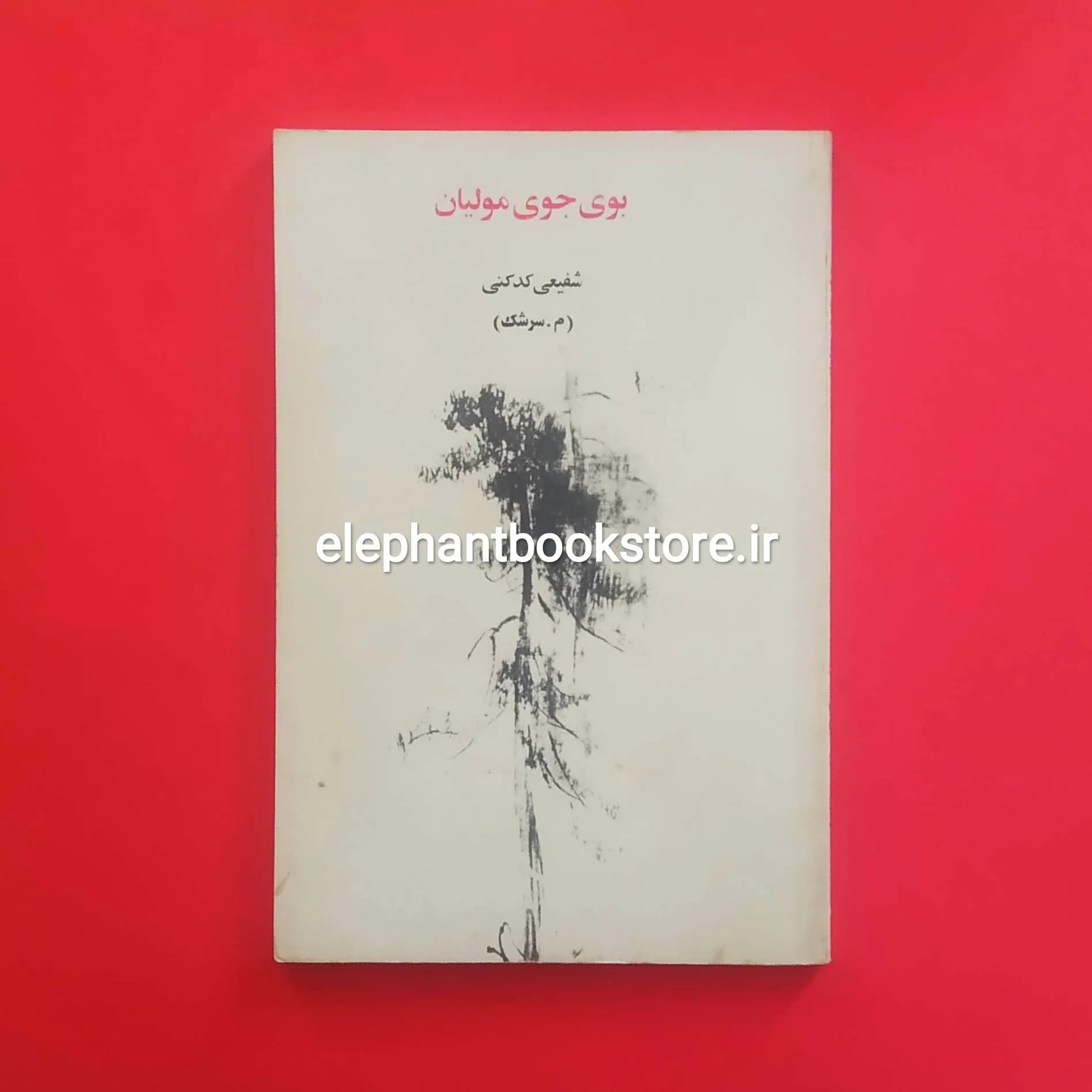 کتاب بوی جوی مولیان اثر دکتر محمدرضا شفیعی کدکنی — تصویر ۲