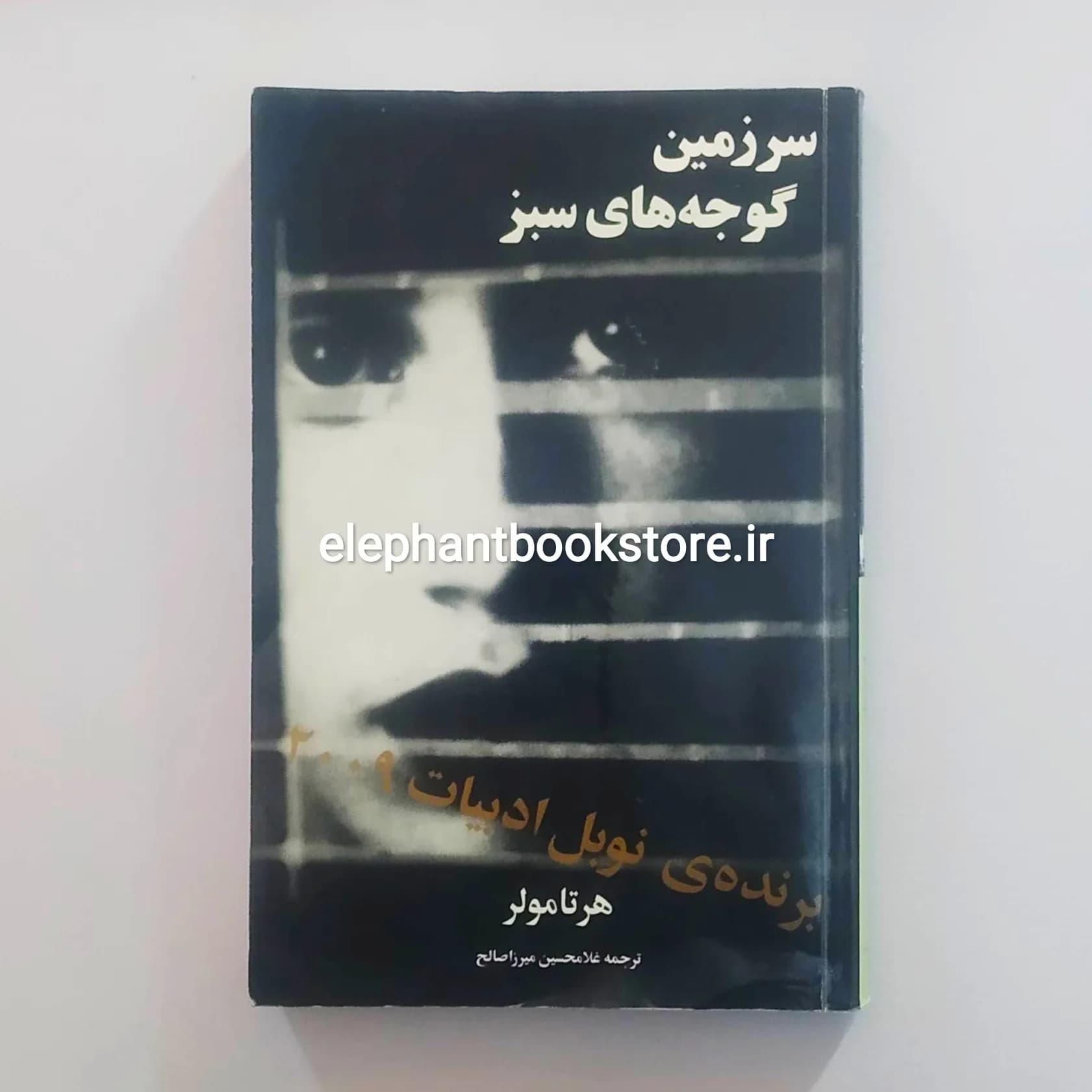 کتاب سرزمین گوجه های سبز ترجمه غلامحسین میرزاصالح — تصویر ۲