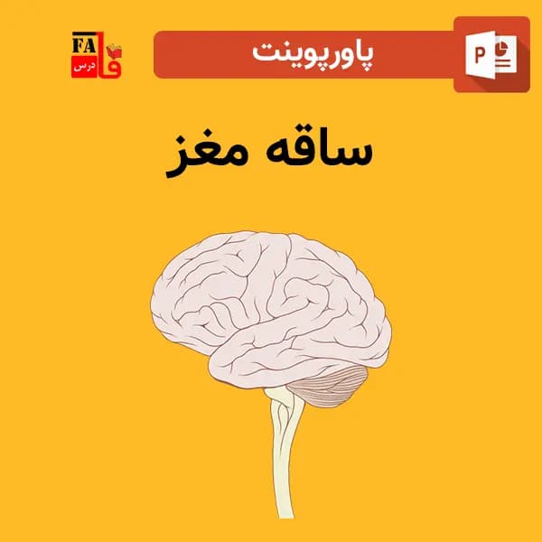 پاورپوینت ساقه مغز