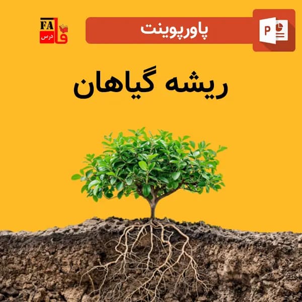 پاورپوینت ریشه گیاهان