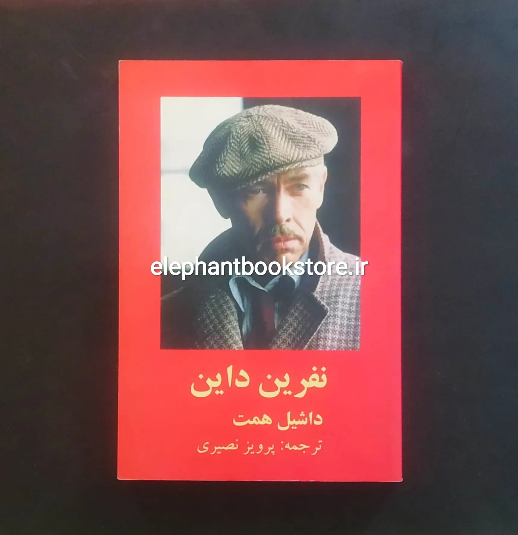 کتاب نفرین داین اثر داشیل همت
