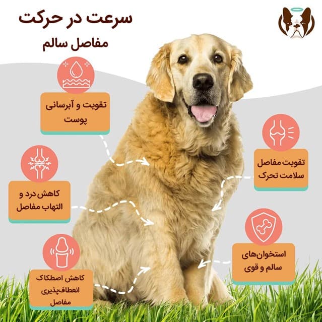 مکمل کلاژن سگ | 100% طبیعی | همه نژادها و سنین | Collagen Supplement — تصویر ۴
