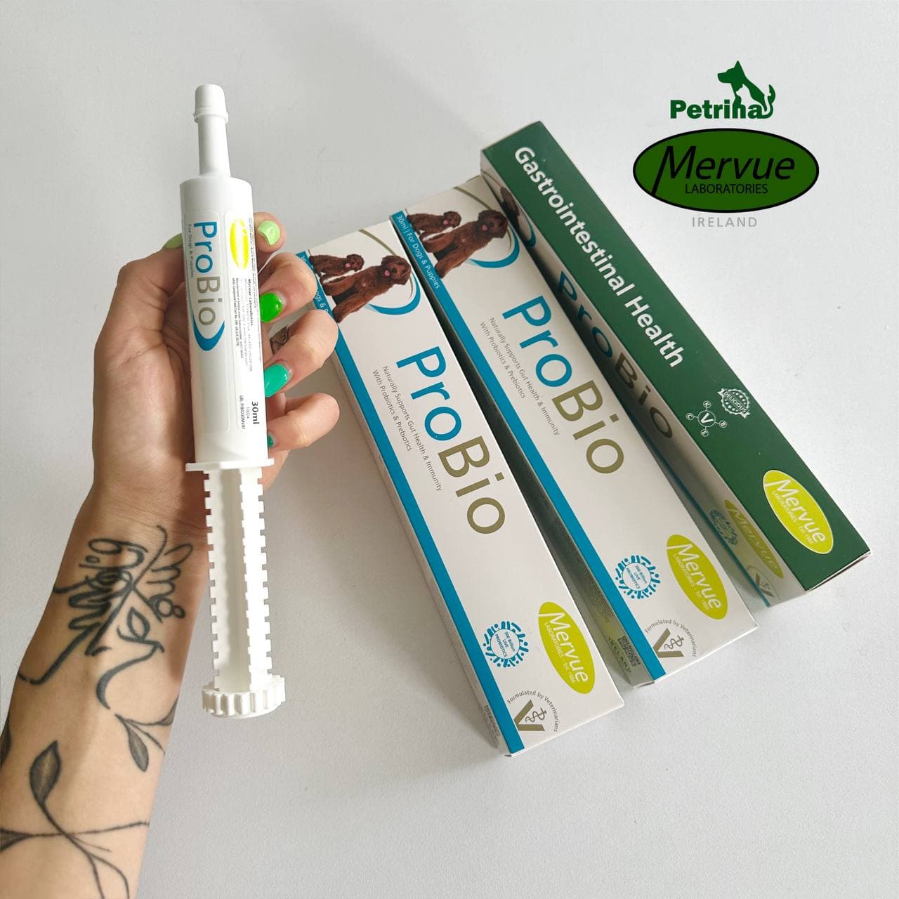 خمیر پروبیوتیک سگ و گربه ProBio برند Mervue | تقویت سیستم گوارش