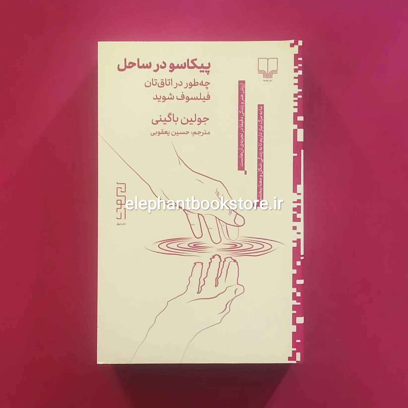 کتاب پیکاسو در ساحل اثر جولیان بگینی