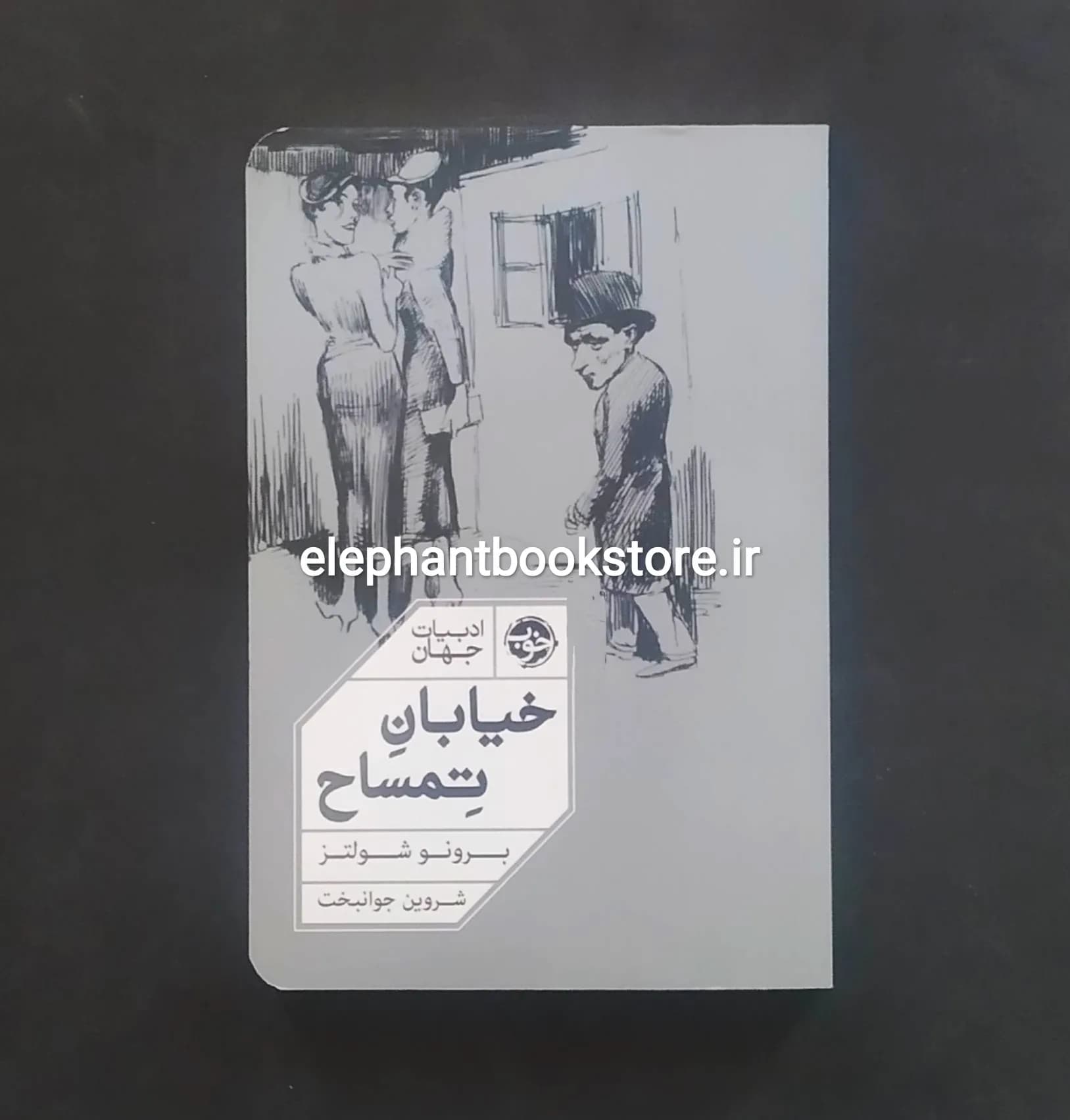 کتاب خیابان تمساح اثر برونو شولتز