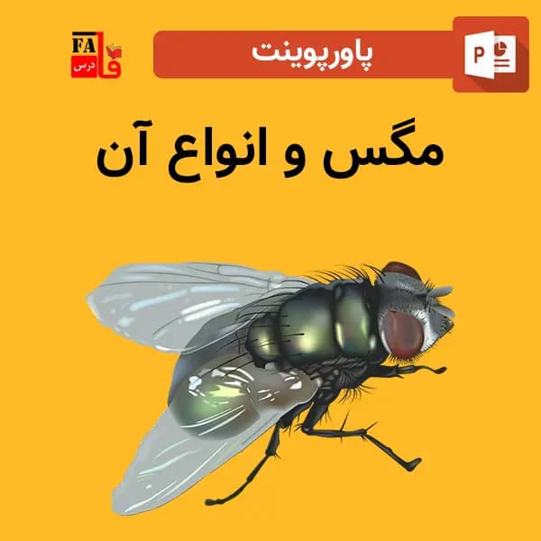 پاورپوینت مگس و انواع آن