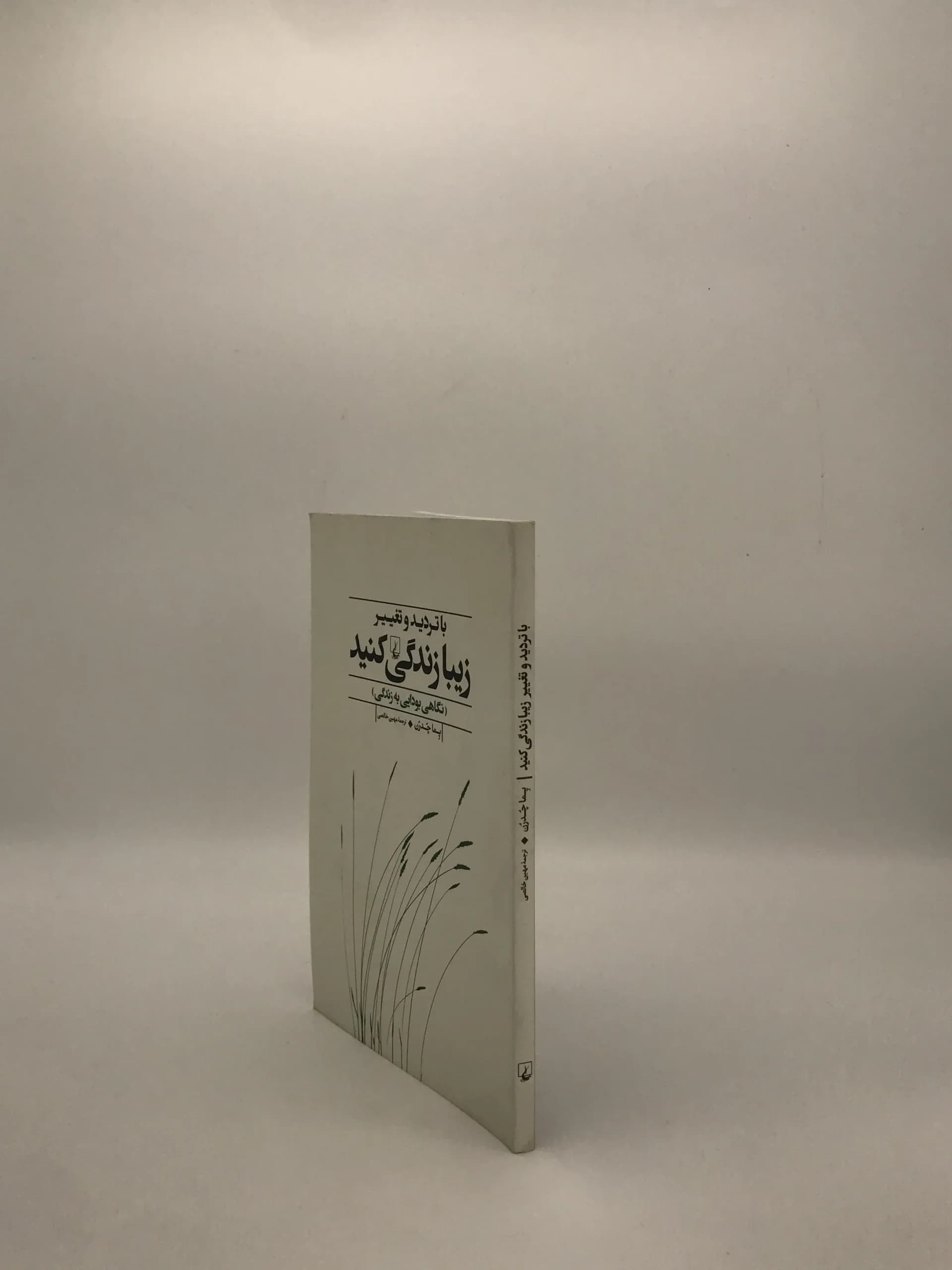 با تردید و تغییر زیبا زندگی کنید نوشته پما چُدرن — تصویر ۴