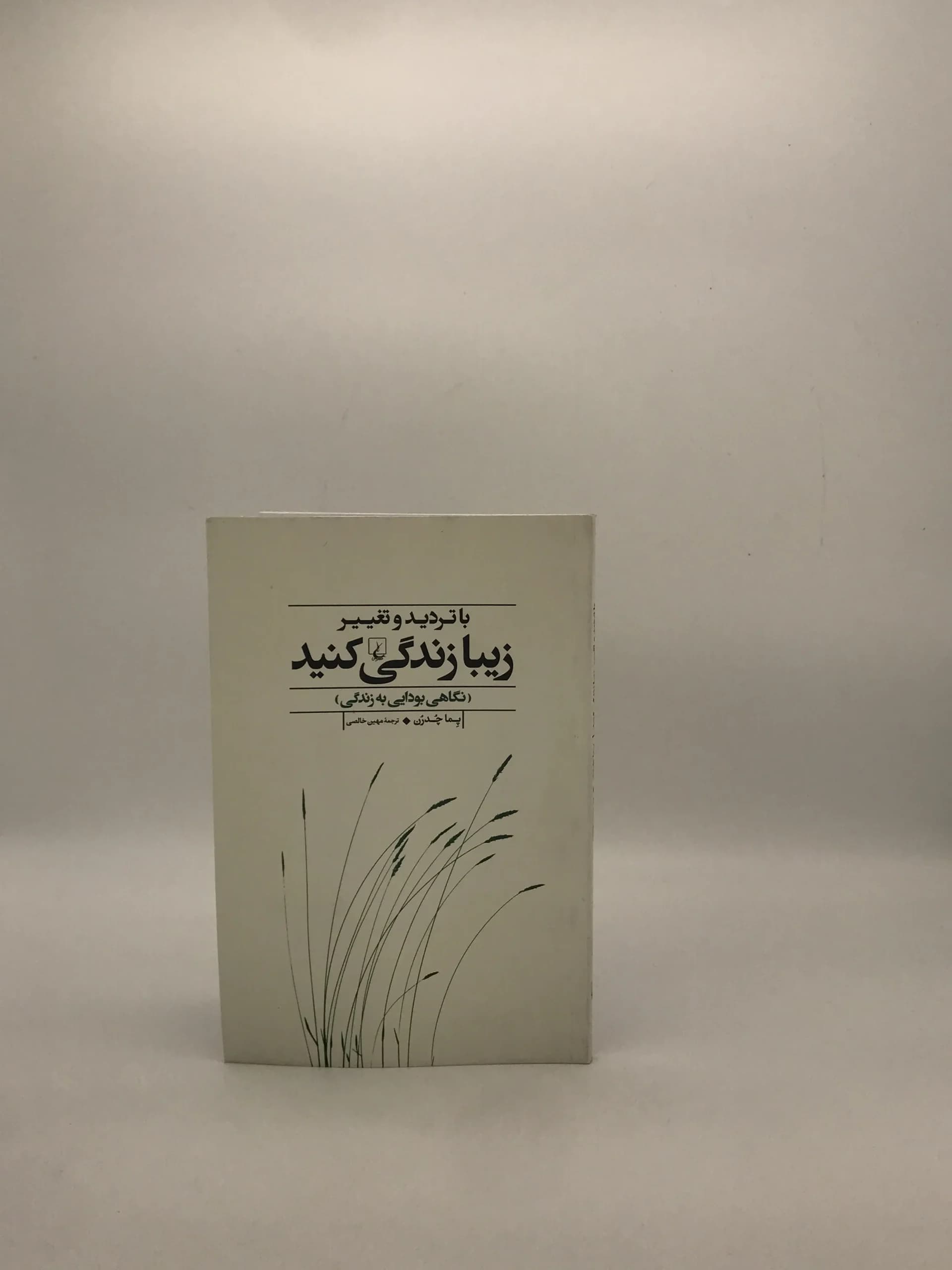 با تردید و تغییر زیبا زندگی کنید نوشته پما چُدرن — تصویر ۲