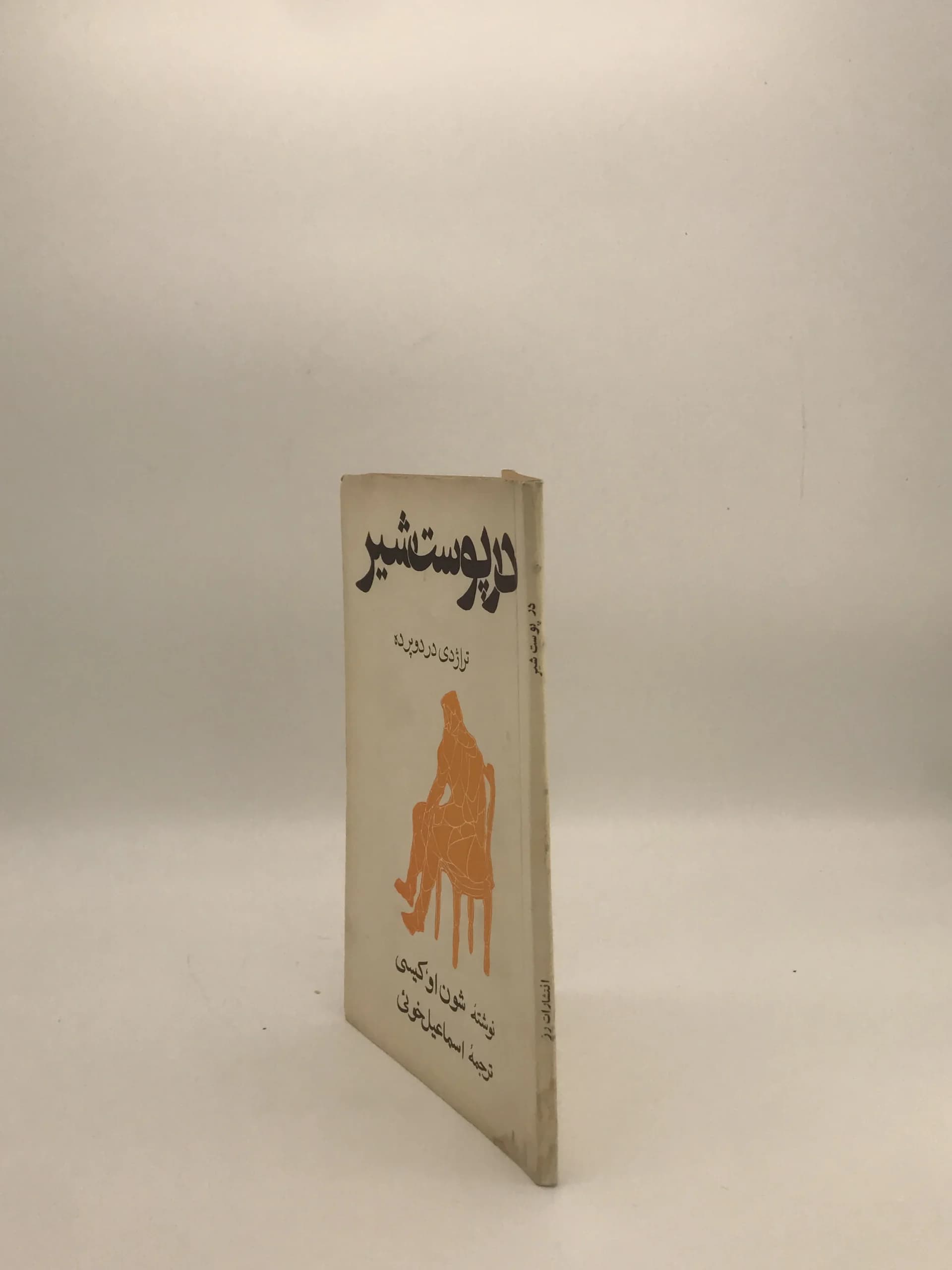 در پوست شیر نوشته شون او کیسی — تصویر ۴