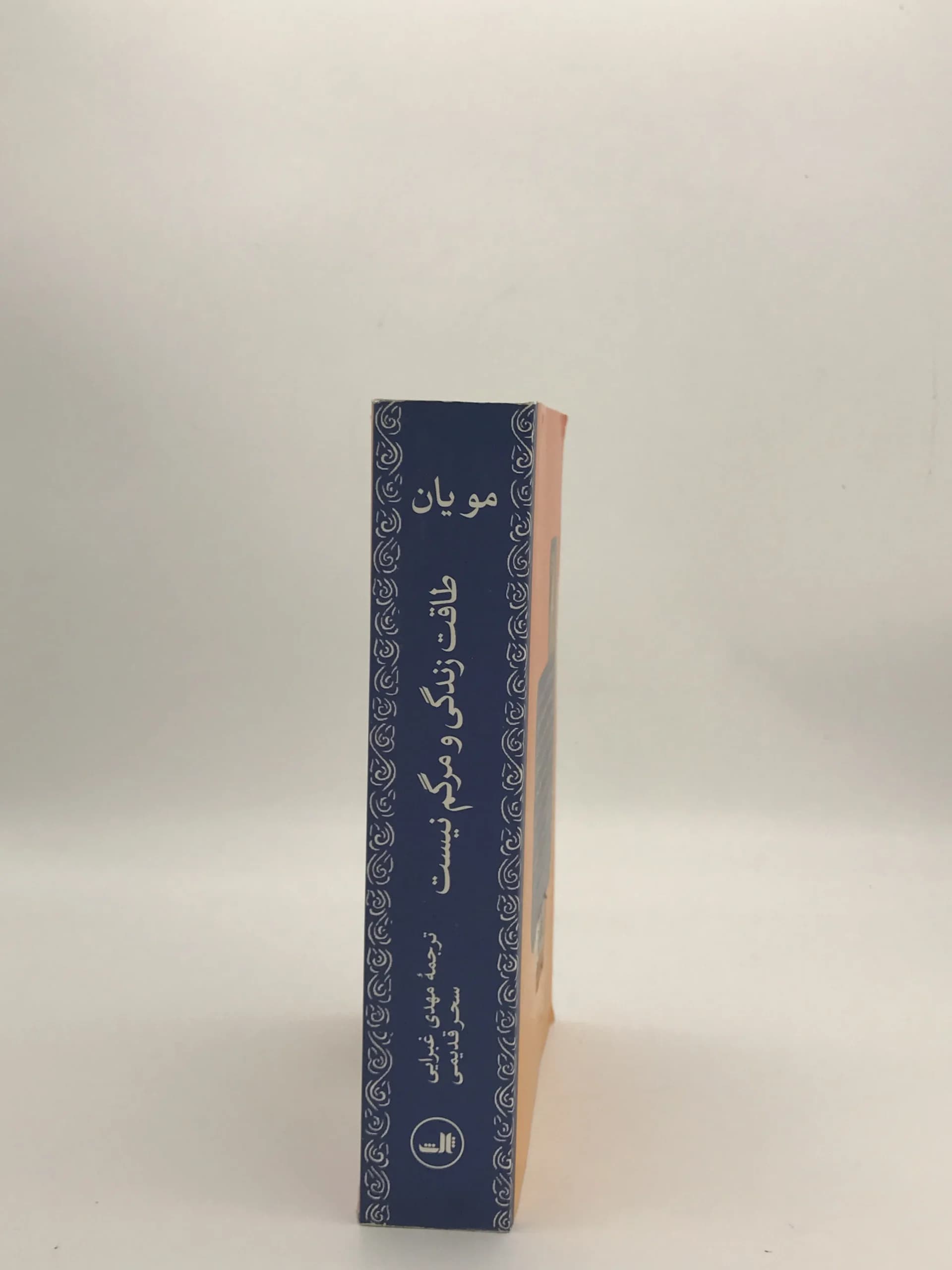 طاقت زندگی و مرگم نیست نوشته مو یان با ترجمه مهدی غبرایی از نشر ثالث — تصویر ۴