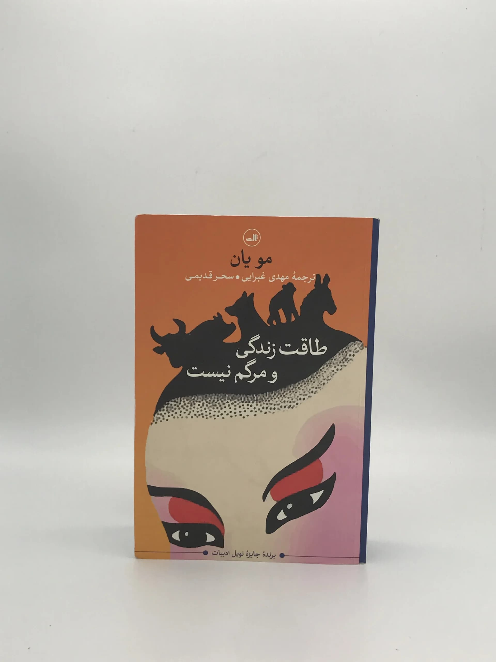 طاقت زندگی و مرگم نیست نوشته مو یان با ترجمه مهدی غبرایی از نشر ثالث