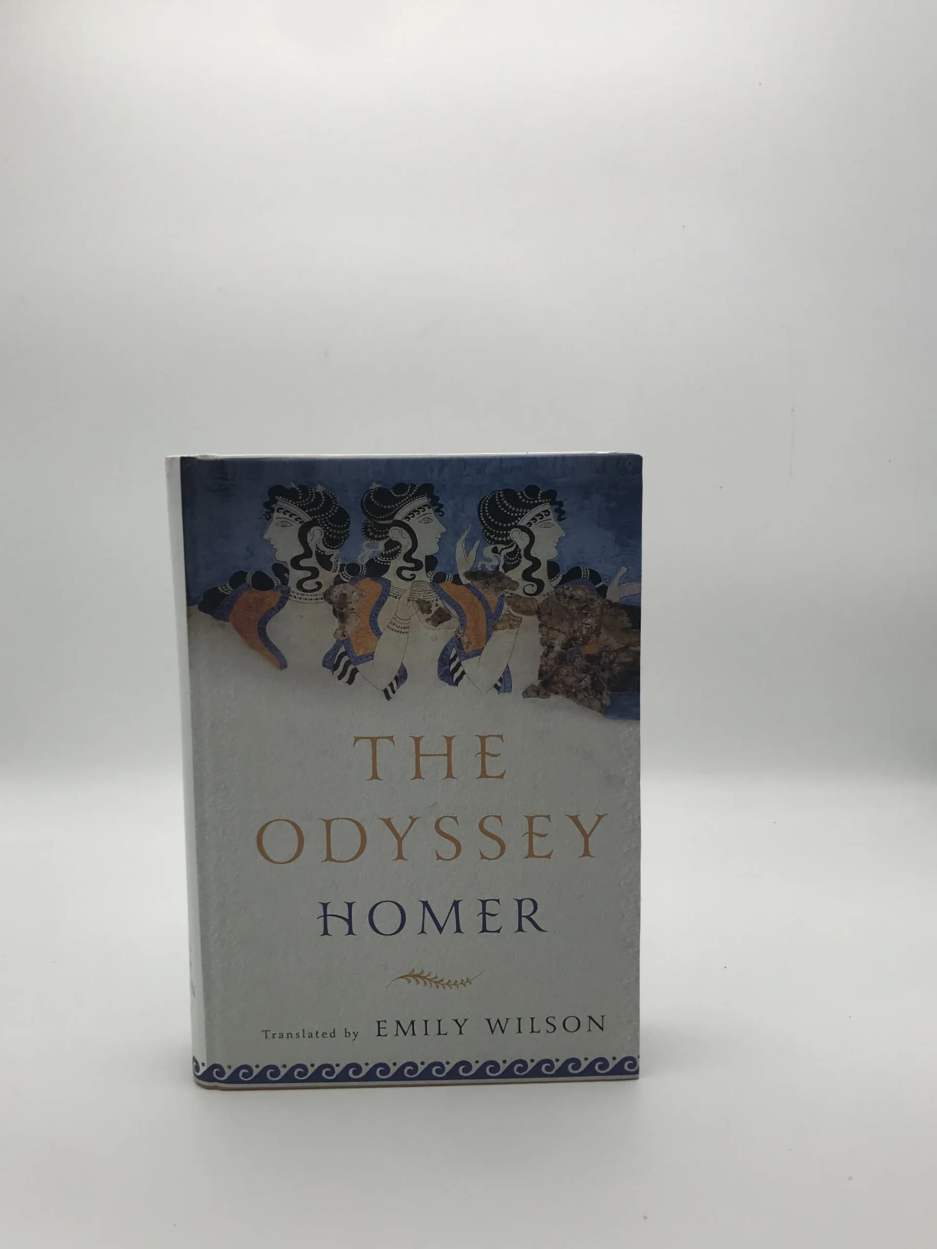 THE ODYSSEY نوشته هومر با ترجمه Emily Wilson — تصویر ۲