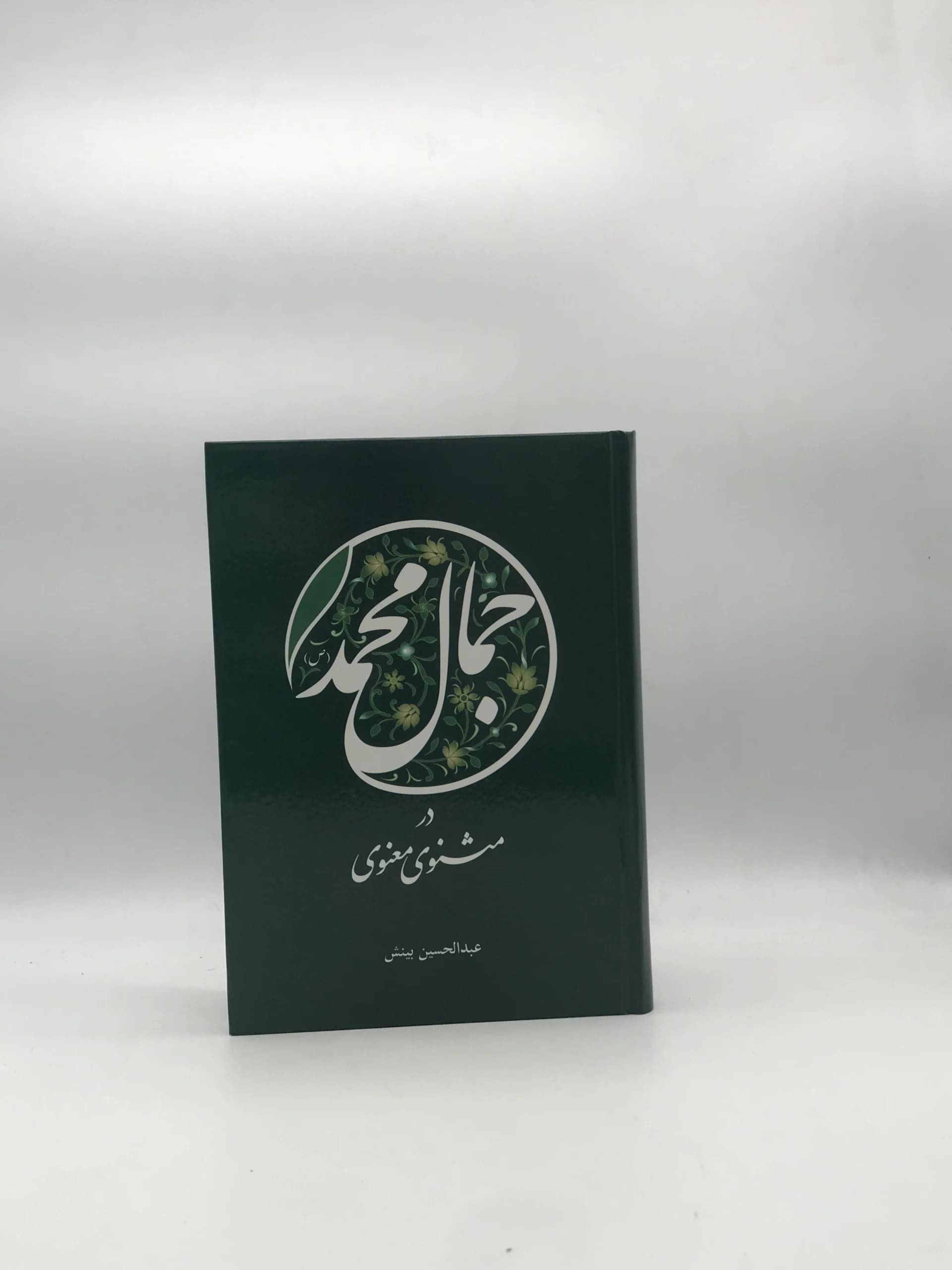 جمال محمد در مثنوی معنوی