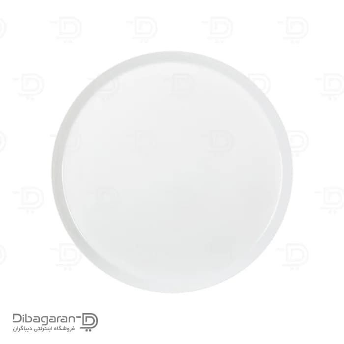 بشقاب تخت چینی زرین فرم اس سایز 9 — تصویر ۲