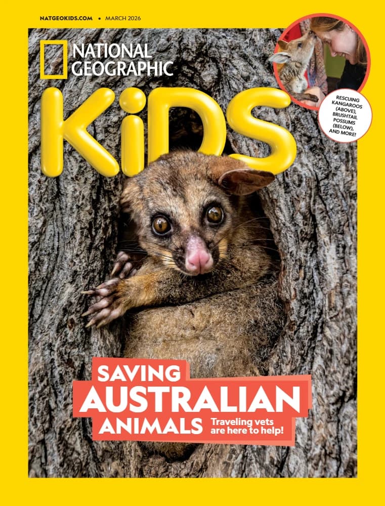 کتاب National Geographic Kids USA (مجله نشنال جئوگرافیک کیدز شماره مارس ۲۰۲۶) نسخه انگلیسی PDF | نامشخص — تصویر ۲