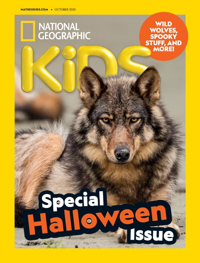 کتاب National Geographic Kids USA (مجله نشنال جئوگرافیک کیدز شماره اکتبر ۲۰۲۵) نسخه انگلیسی PDF | نامشخص