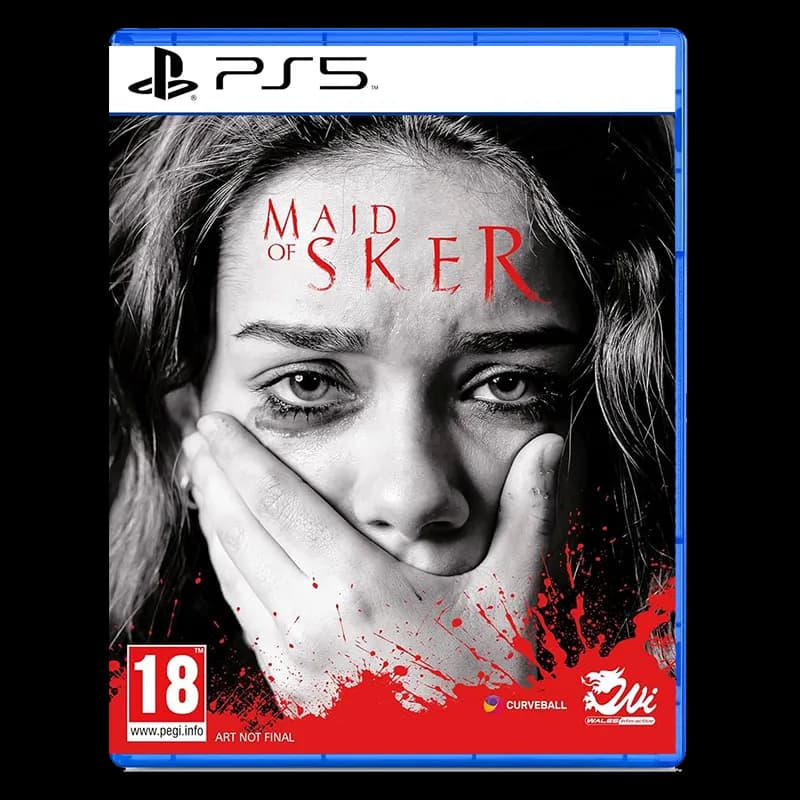 دیسک Maid of Sker برای PS5