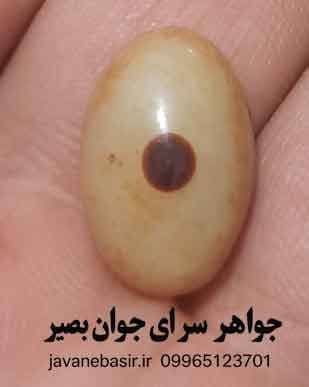 نگین باباقوری تک چشم اصل | قوی‌ترین سنگ دفع چشم‌زخم و انرژی منفی