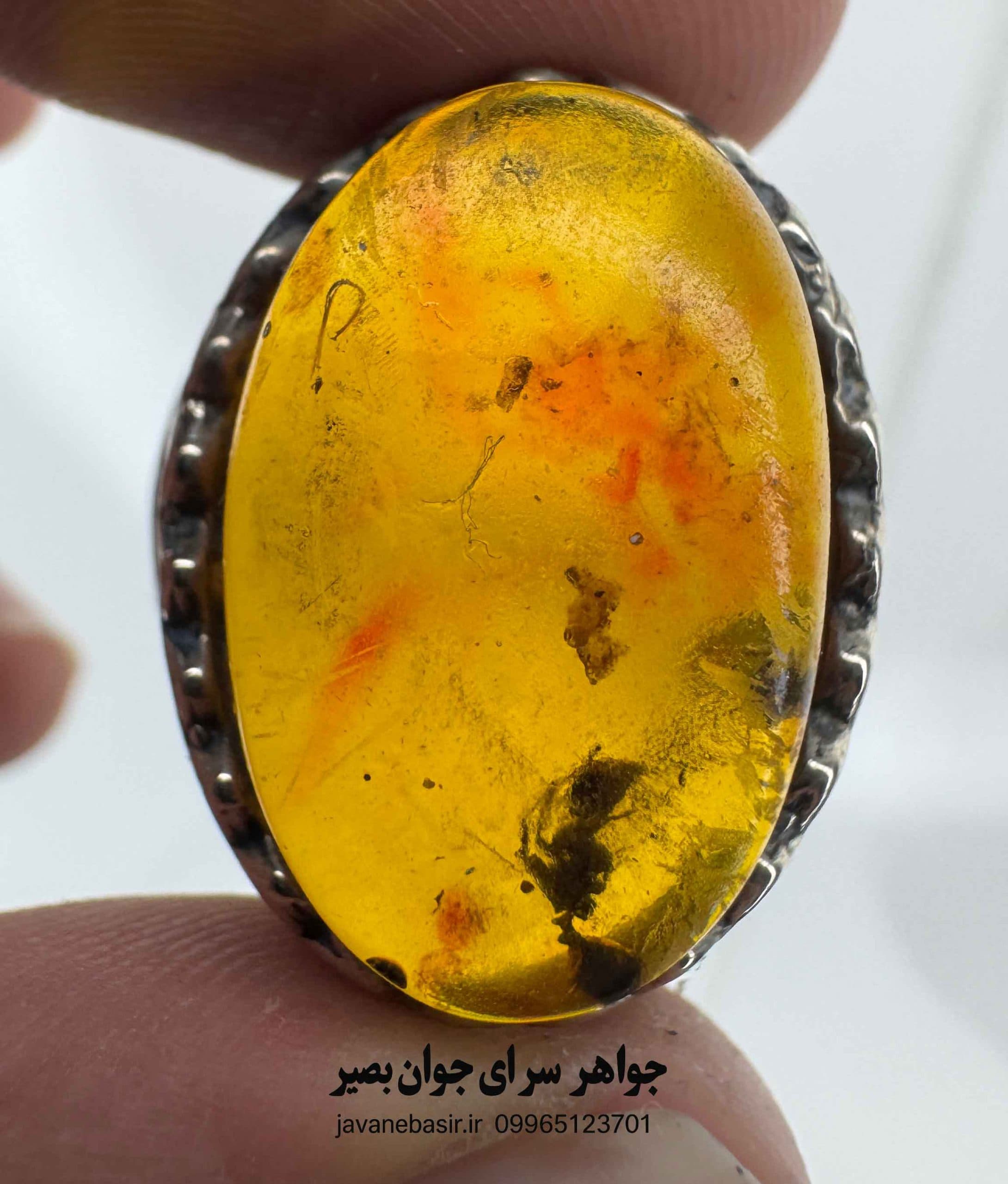 انگشتر کاریزماتیک مورچه‌دار؛ شکوه طرح کهربا