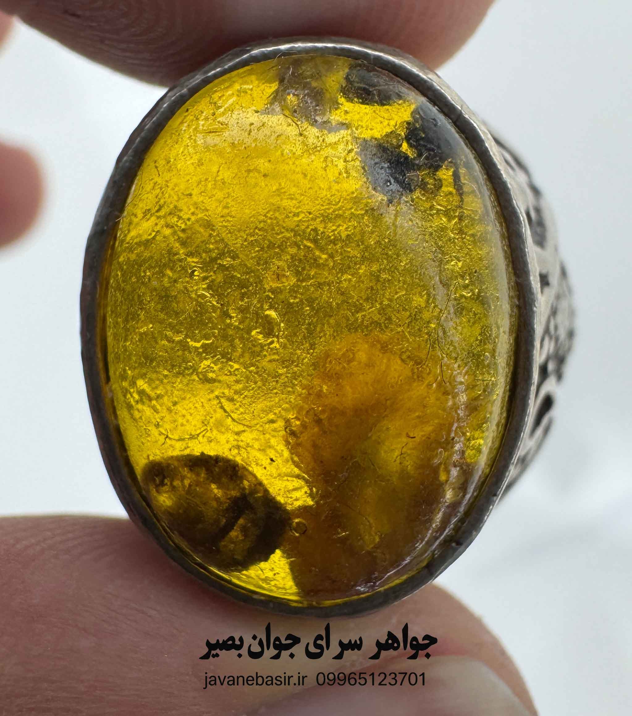 انگشتر مورچه‌دار خاص؛ کپسول زمان با طرح کهربای باستانی