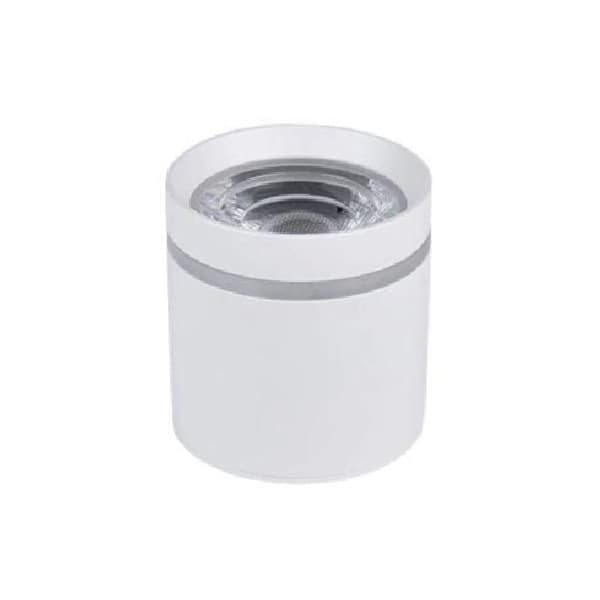 چراغ سقفی استوانه روكار دور نور COB قطر10CM توان 20W کد461 — تصویر ۳