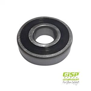 بلبرینگ شفت تیبا GISP