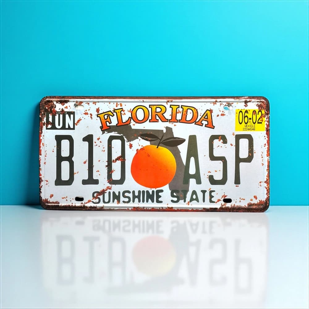 پلاک فلزی طرح Florida