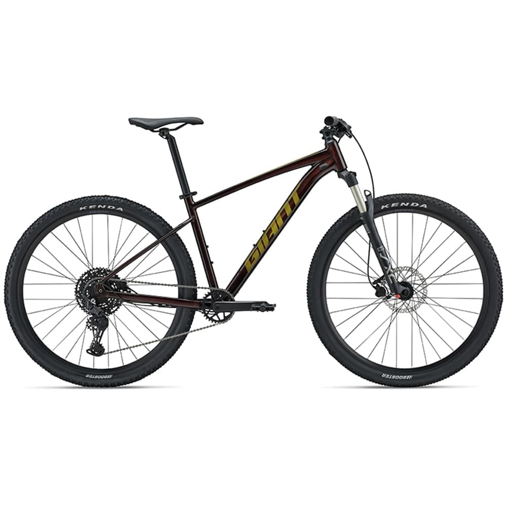 دوچرخه کوهستان 29 جاینت تالون GIANT TALON 1 2024 — تصویر ۳