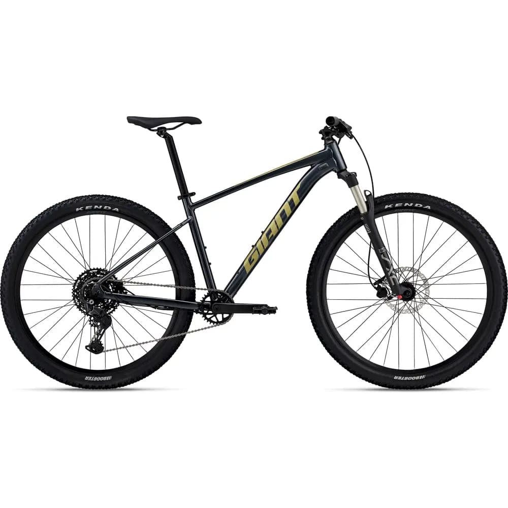 دوچرخه کوهستان 29 جاینت تالون GIANT TALON 1 2024 — تصویر ۲
