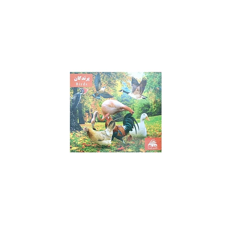 کتاب فلش کارت (شناخت پرندگان)