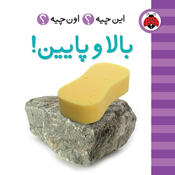 پک فرهنگ تصویری این چیه؟ اون چیه؟ (سبز رنگ) — تصویر ۶