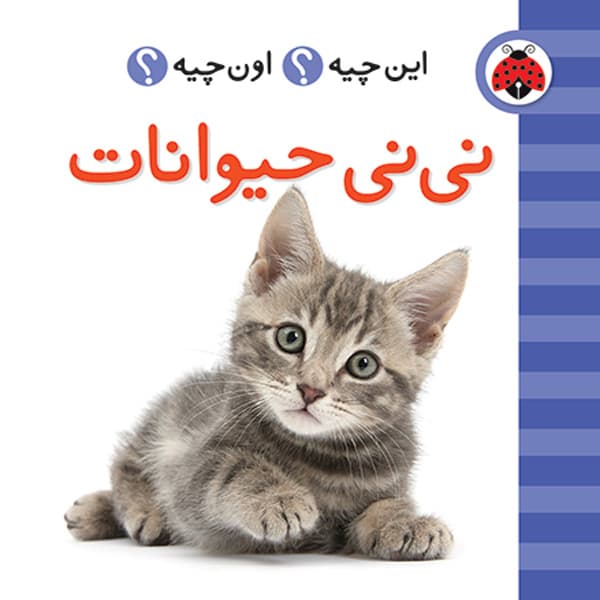 پک فرهنگ تصویری این چیه؟ اون چیه؟ (بنفش رنگ) — تصویر ۸
