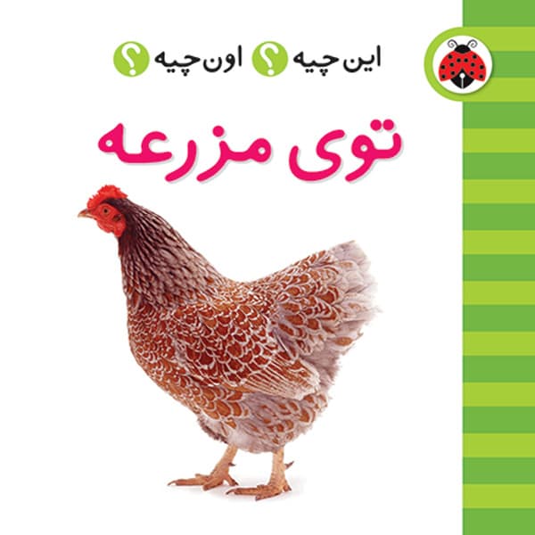 پک فرهنگ تصویری این چیه؟ اون چیه؟ (بنفش رنگ) — تصویر ۶
