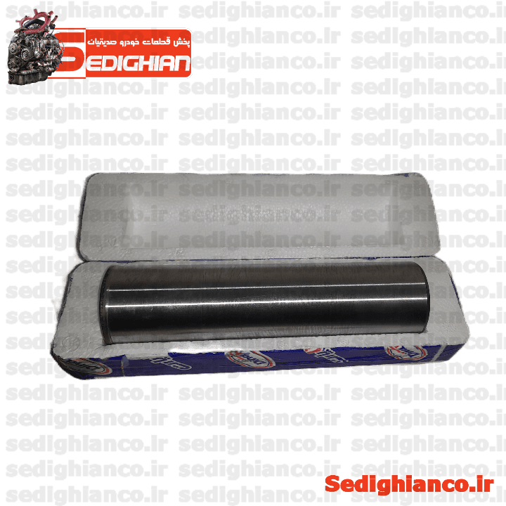 میل رابط ژامبون راست 405/ دینا پارت