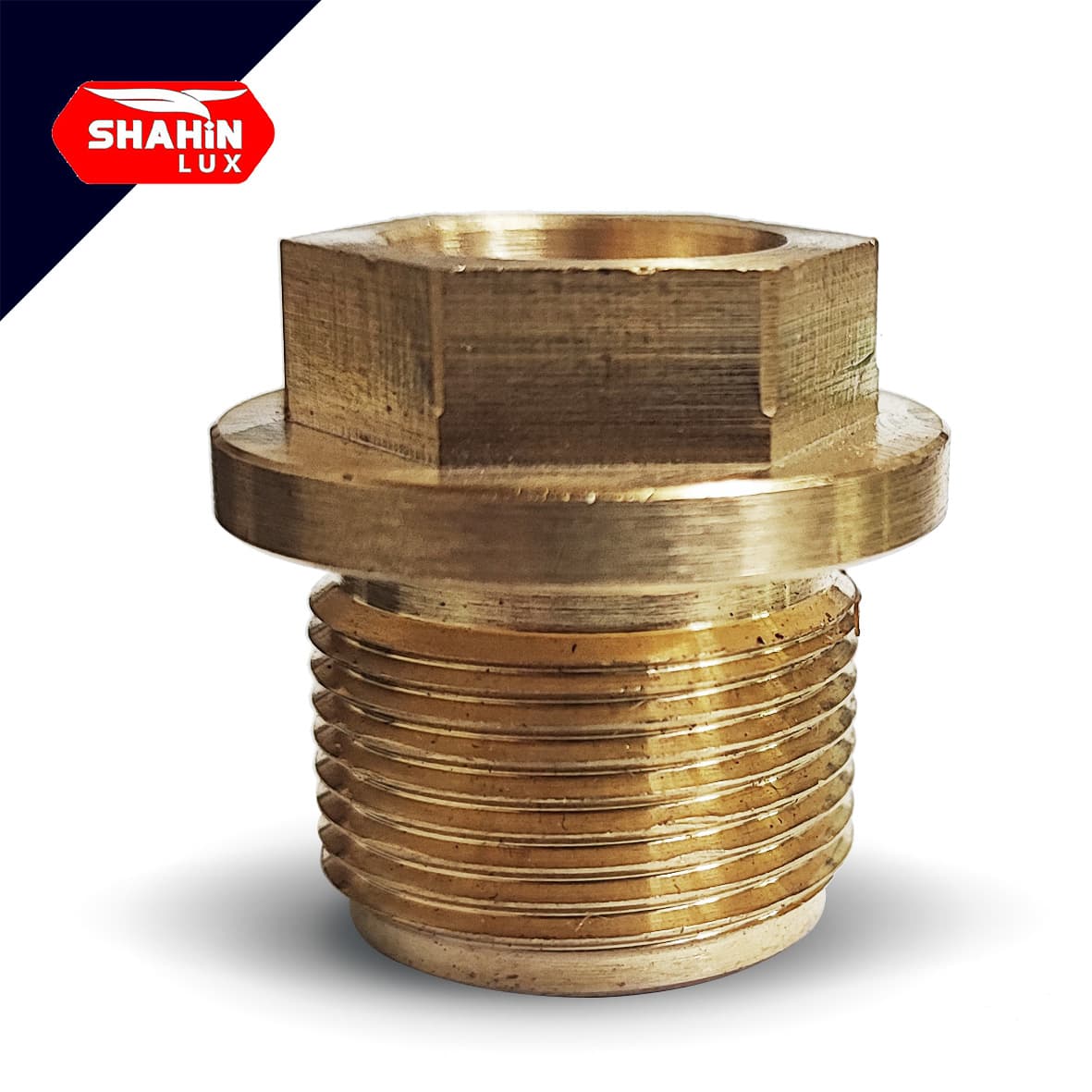 پیچ درب سوپاپ اینتر 200 بار+اورنگ