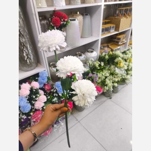 گل سه شاخه — تصویر ۴